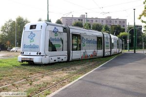 Bild: milano7016_bk1908270277.jpg - anklicken zum Vergrößern Bild: milano7016_bk1908270277.jpg - anklicken zum Vergrößern