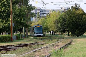 Bild: milano7026_bk1908270301.jpg - anklicken zum Vergrößern