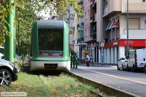 Bild: milano7124_bk1908260024.jpg - anklicken zum Vergrößern