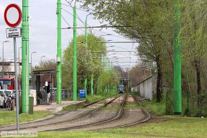Bild: milano7126_bk1804110129.jpg - anklicken zum Vergrößern
