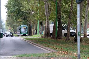 Bild: milano7134_bk1908280006.jpg - anklicken zum Vergrößern