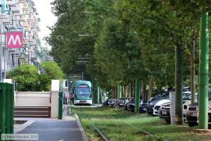 Bild: milano7145_bk1908260003.jpg - anklicken zum Vergrößern