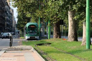 Bild: milano7145_bk1908260032.jpg - anklicken zum Vergrößern