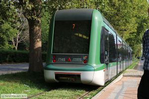 Bild: milano7145_bk1908260033.jpg - anklicken zum Vergrößern