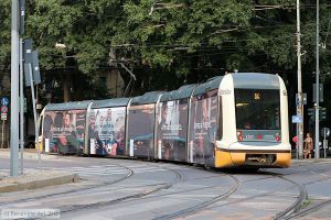 Bild: milano7521_bk1908250270.jpg - anklicken zum Vergr&ouml;&szlig;ern