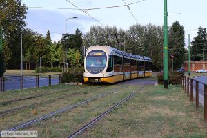 Bild: milano7522_bk1808050282.jpg - anklicken zum Vergrößern