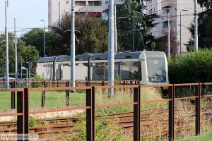 Bild: milano7525_bk1808060294.jpg - anklicken zum Vergrößern