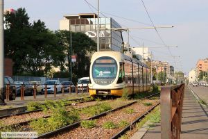 Bild: milano7624_bk1808060303.jpg - anklicken zum Vergrößern