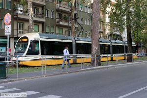 Bild: milano7624_bk1808060314.jpg - anklicken zum Vergrößern