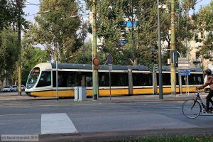 Bild: milano7632_bk1908260268.jpg - anklicken zum Vergr&ouml;&szlig;ern