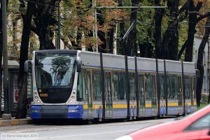 Bild: torino6028_bk1908280134.jpg - anklicken zum Vergrößern Bild: torino6028_bk1908280134.jpg - anklicken zum Vergrößern