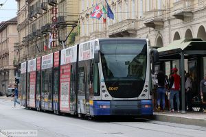Bild: torino6047_bk1908280199.jpg - anklicken zum Vergrößern Bild: torino6047_bk1908280199.jpg - anklicken zum Vergrößern