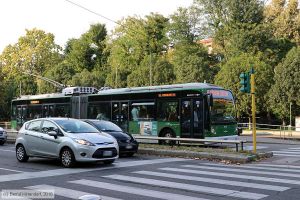 Bild: milano717_bk1808060321.jpg - anklicken zum Vergrößern