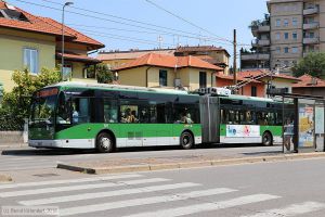 Bild: milano727_bk1808070042.jpg - anklicken zum Vergrößern