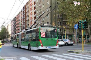 Bild: milano738_bk1808060329.jpg - anklicken zum Vergrößern