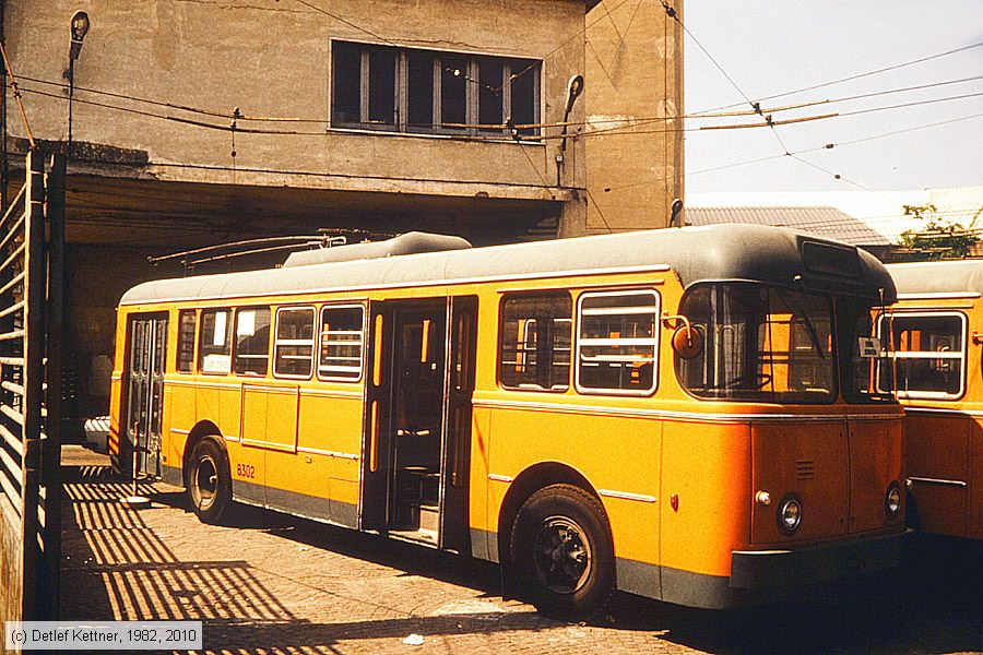 Filobus Napoli - 8302
/ Bild: napoli8302_dk029817.jpg