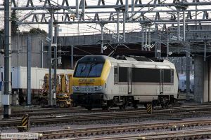 Bild: cfl3008_bk1610290216.jpg - anklicken zum Vergrößern