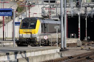 Bild: cfl3007_bk1610290033.jpg - anklicken zum Vergrößern
