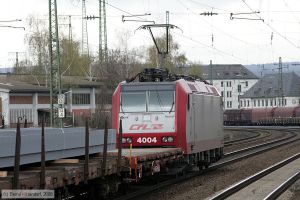 Bild: cfl4004_bk0804030025.jpg - anklicken zum Vergrößern