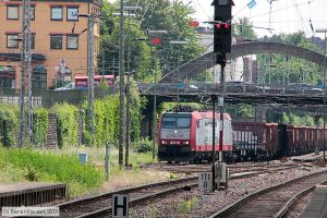 Bild: cfl4010_bk1306080097.jpg - anklicken zum Vergrößern