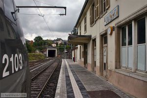 Bild: bfwiltz_e0009221.jpg - anklicken zum Vergrößern Bild: bfwiltz_e0009221.jpg - anklicken zum Vergrößern