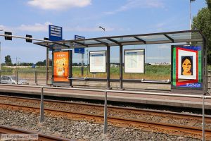 Bild: amsterdamanlagen_bk1808010136.jpg - anklicken zum Vergrößern