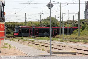 Bild: denhaag5005_bk1706210123.jpg - anklicken zum Vergrößern Bild: denhaag5005_bk1706210123.jpg - anklicken zum Vergrößern