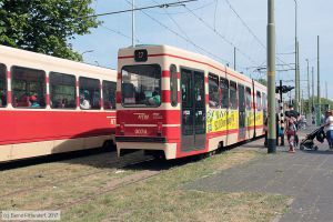 Bild: denhaag3074_bk1706210276.jpg - anklicken zum Vergrößern Bild: denhaag3074_bk1706210276.jpg - anklicken zum Vergrößern