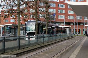 Bild: rotterdam2021_bk1911250069.jpg - anklicken zum Vergrößern Bild: rotterdam2021_bk1911250069.jpg - anklicken zum Vergrößern