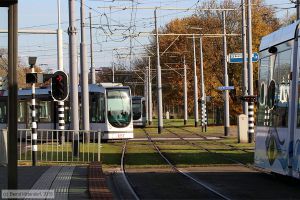 Bild: rotterdam2110_bk1911250138.jpg - anklicken zum Vergrößern Bild: rotterdam2110_bk1911250138.jpg - anklicken zum Vergrößern