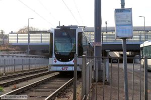 Bild: rotterdam2119_bk1911250216.jpg - anklicken zum Vergr&ouml;&szlig;ern