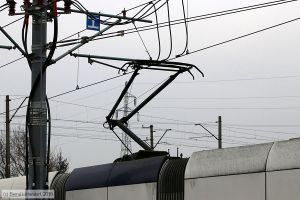 Bild: szczecin818_bk1803050191.jpg - anklicken zum Vergr&ouml;&szlig;ern